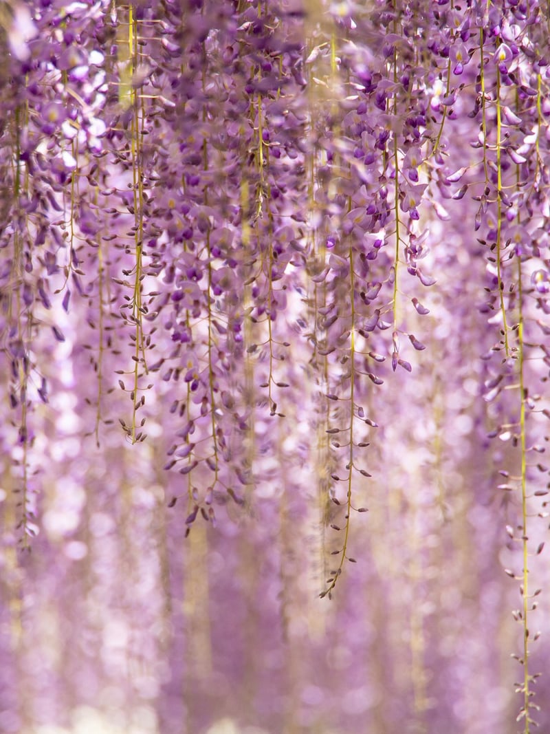 Vertical garden solutions
