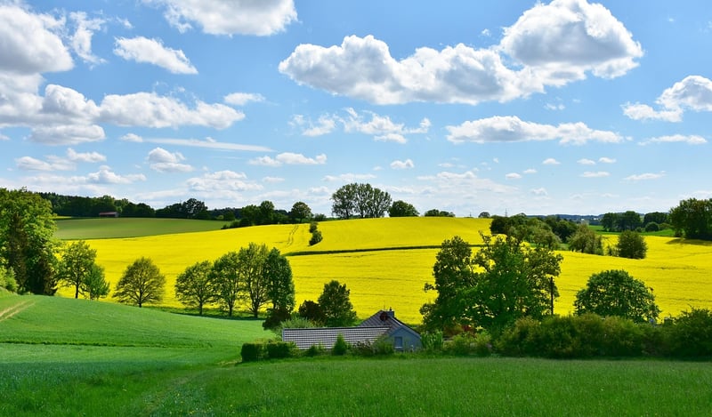 Volunteering in green spaces