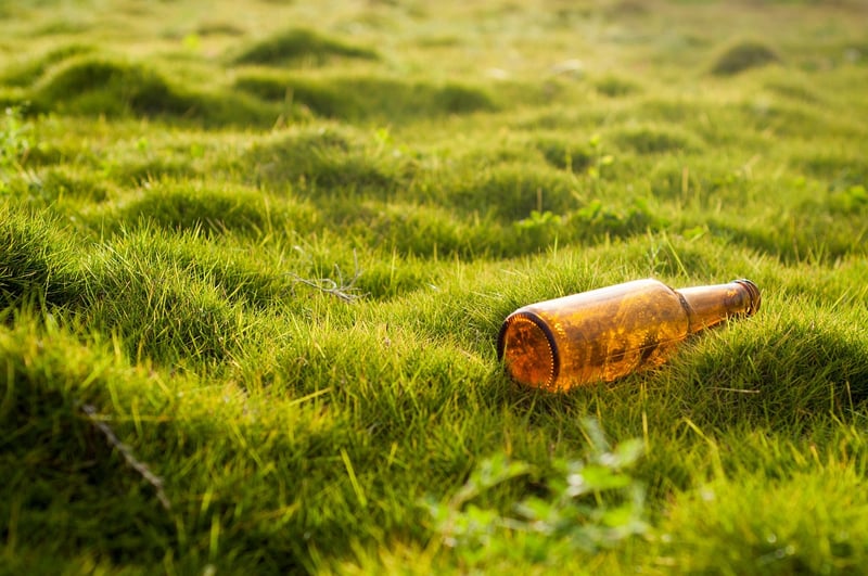 Bottle Garden