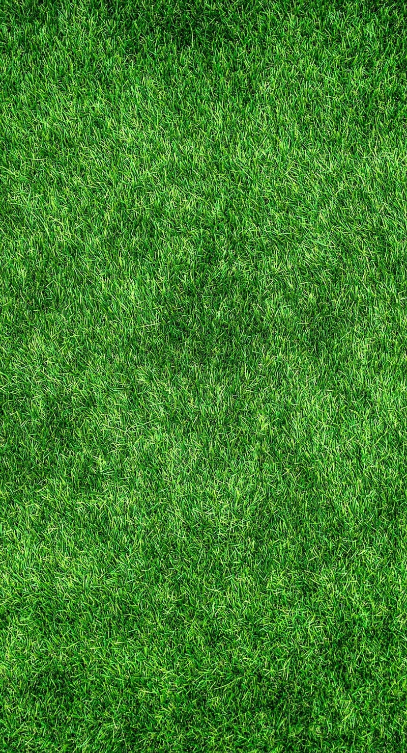 Community Green Initiative